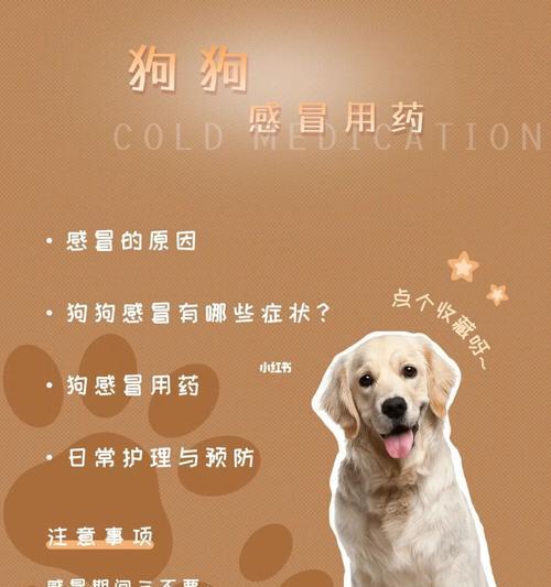 拳师犬的平均寿命、长寿的原因和保健方法（拳师犬的平均寿命、长寿的原因和保健方法）