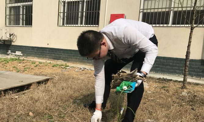 如何管理宠物犬的生活环境（从饮食到居住，让犬儿生活得更健康、更幸福）
