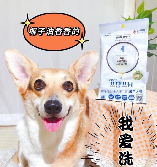 如何正确地给宠物洗澡（宠物爱好者必读的洗澡指南）