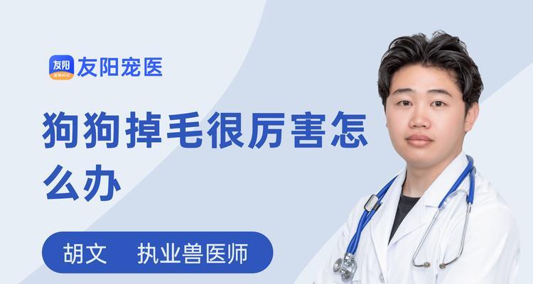 如何防止宠物狗掉毛？（掌握正确的宠物护理技巧，让你的狗狗健康美丽！）
