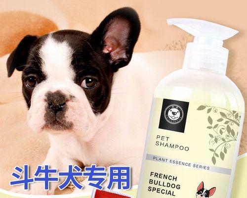 如何正确给斗牛犬洗澡？（宠物护理必备技能，让你的斗牛犬焕然一新！）