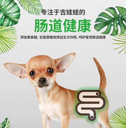 如何选择适合吉娃娃的狗粮（掌握狗粮选择技巧，让吉娃娃健康成长）