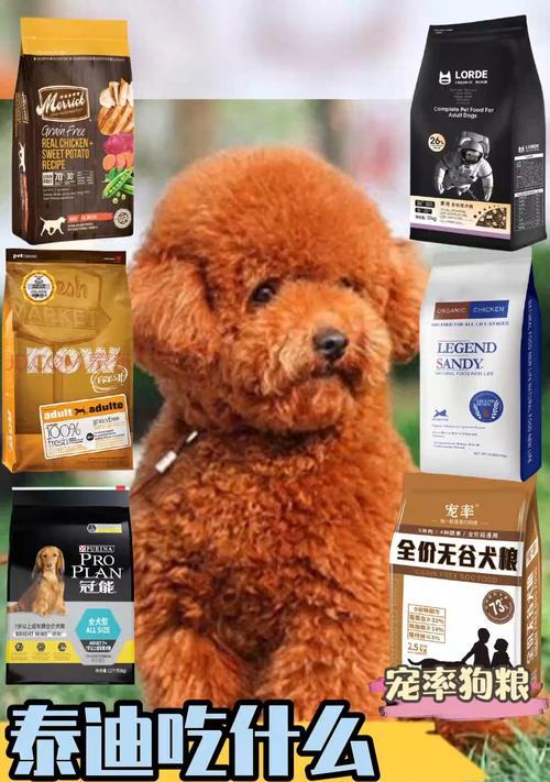 泰迪犬能否食用红薯？（以宠物为主，科学喂养更健康。）