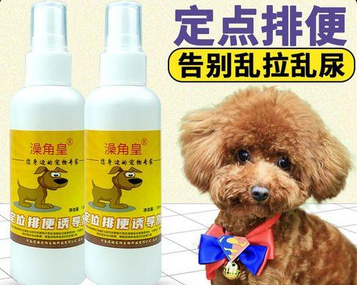 如何训练宠物狗狗排便（培养健康习惯，让你和宠物更加舒适——狗狗排便训练）