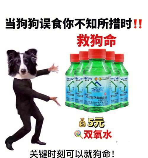 养狗需谨慎选择（以宠物为主，千万别盲目购买）