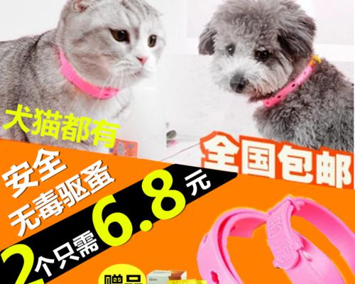 宠物犬如何有效去除跳蚤（让你的爱犬远离跳蚤骚扰，）