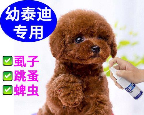 贵宾犬驱虫全攻略（了解贵宾犬的驱虫知识，让宠物健康无忧）