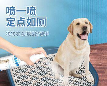 如何训练狗狗上厕所（有效方法与注意事项）