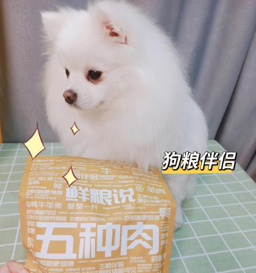 狗狗不挑食的秘诀（如何让你的宠物爱上健康饮食）