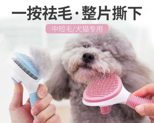 科学护理，让毛发更加亮丽（科学护理，让毛发更加亮丽）