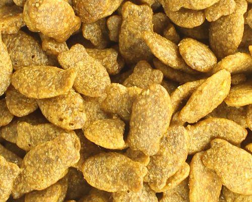 自制猫粮鱼块配方（以天然食材为基础，营养均衡、口感适口）