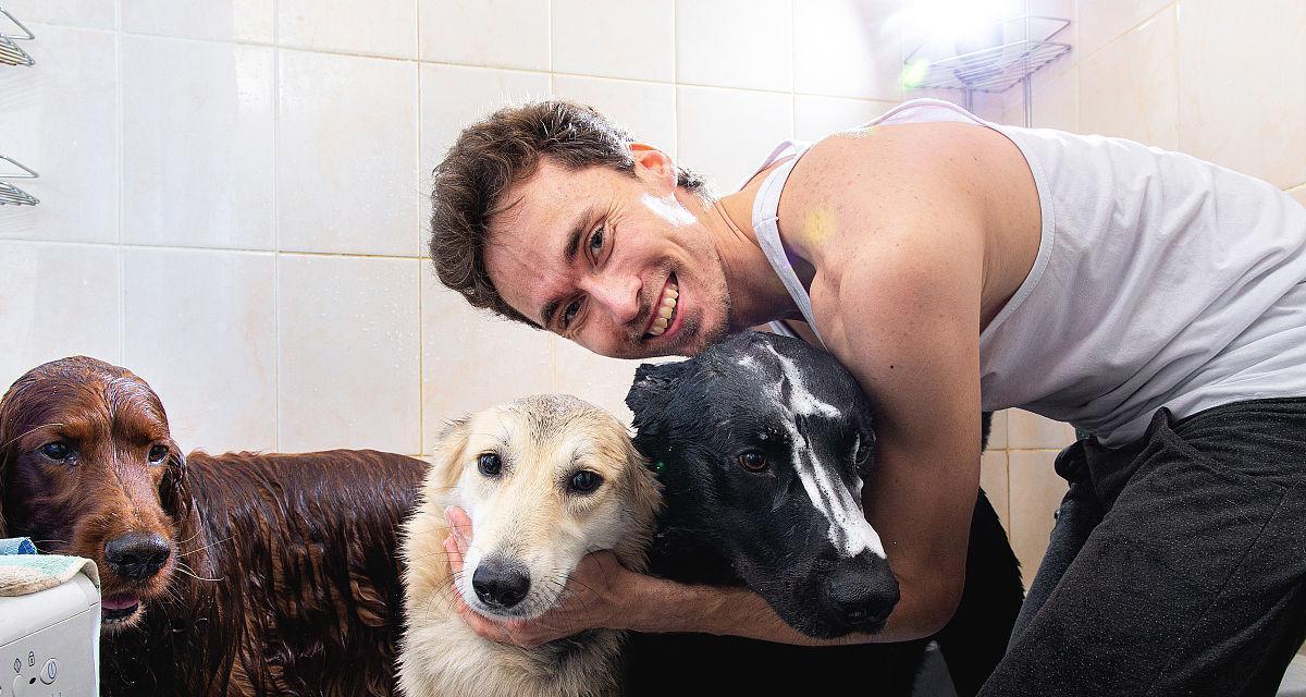 如何给你的宠物澳洲牧羊犬洗澡？（宠物护理必备知识，让你的牧羊犬焕然一新）