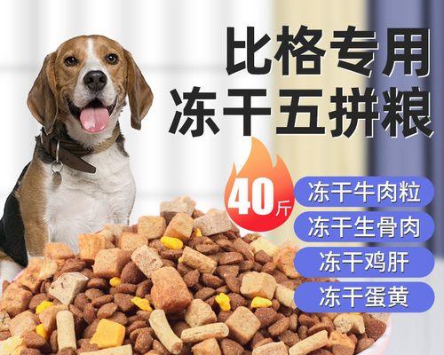 如何选择适合比格犬的狗粮？（探究比格犬的饮食需求，提供选择狗粮的指南。）