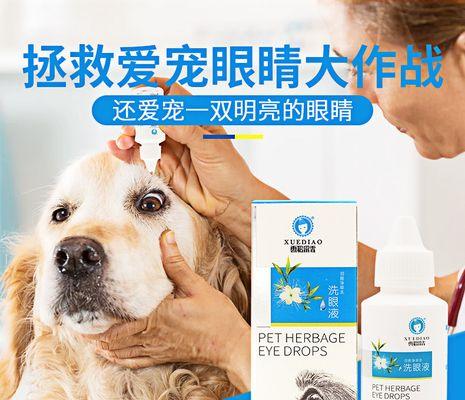冬季宠物护理全攻略（如何给宠物度过温暖的冬季）
