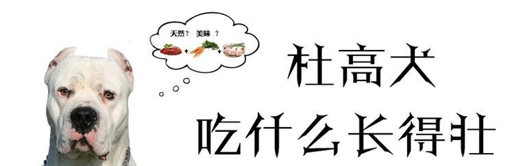 选择适合杜高犬的狗粮（如何选择适合杜高犬的狗粮？掌握这些关键点）