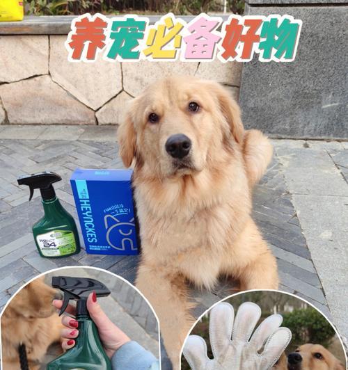如何清理狗狗的毛发（宠物美容的必修技能，让爱犬焕然一新）