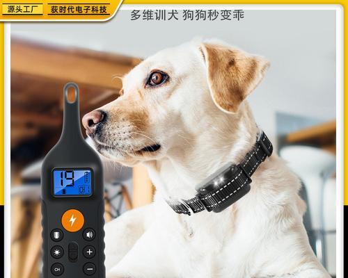 狗狗被电击了，怎么办？（宠物电击应对指南）