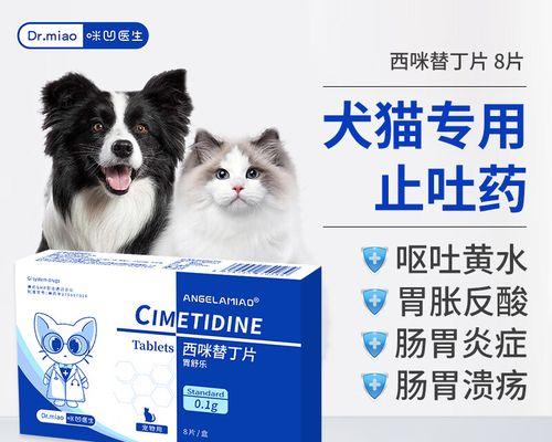 揭秘狗狗肠胃疾病的常见症状（了解肠胃问题，给宠物健康保驾护航）