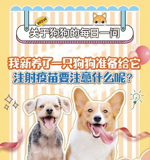 狗狗打疫苗失败的原因与预防方法（如何避免狗狗打疫苗失败引发的问题？）