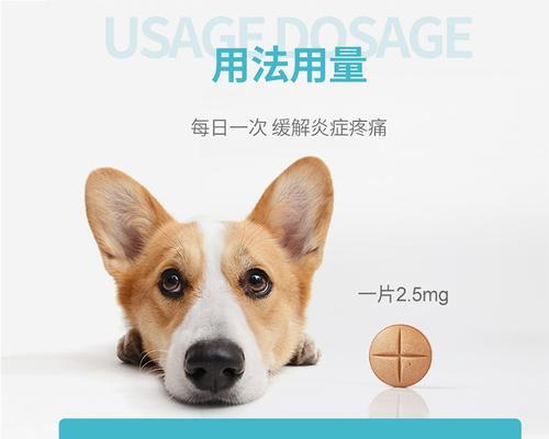 宠物狗骨折应急处理全攻略（迅速应对，救治狗狗受伤）