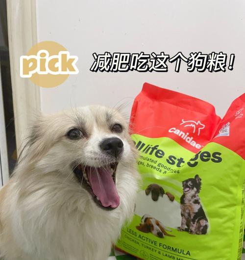 狗狗健康计划（以减肥为主的养狗指南）