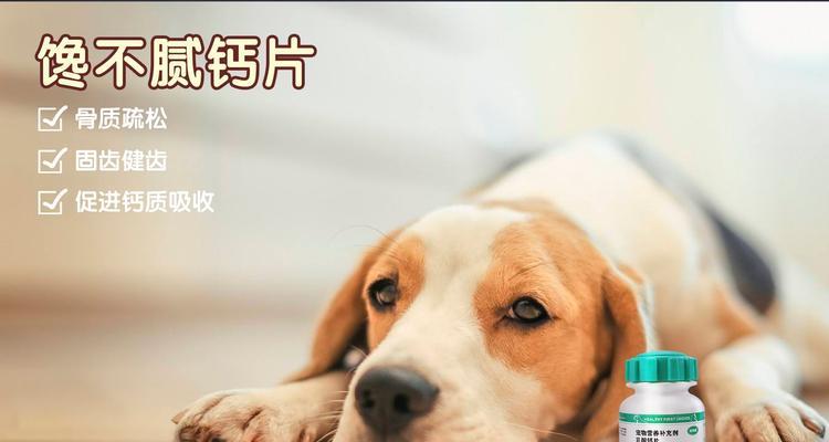 狗狗叫唤不停，怎么办？（应对狗狗叫唤的常见方法）