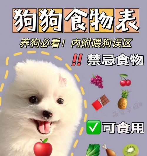 宠物狗狗可以吃的蔬菜有哪些？（营养均衡的饮食，让宠物狗健康成长）