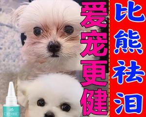 狗狗流泪护理全攻略（养宠心得分享，让你的爱犬健康快乐）