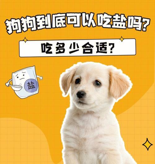 如何处理宠物狗吃多盐的情况？（预防与救治宠物狗吃多盐的方法）