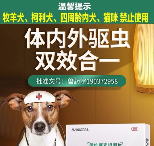 狗狗得了蛔虫病，如何有效治疗？（以宠物为主，让爱宠远离蛔虫感染）