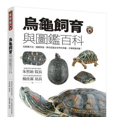 正确饲养宠物的必备知识（从饲料到日常护理，让宠物健康成长）