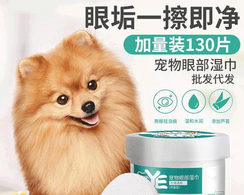 宠物贵宾泪痕清理技巧（让你的贵宾摆脱泪痕困扰，拥有清澈明亮的眼眸）
