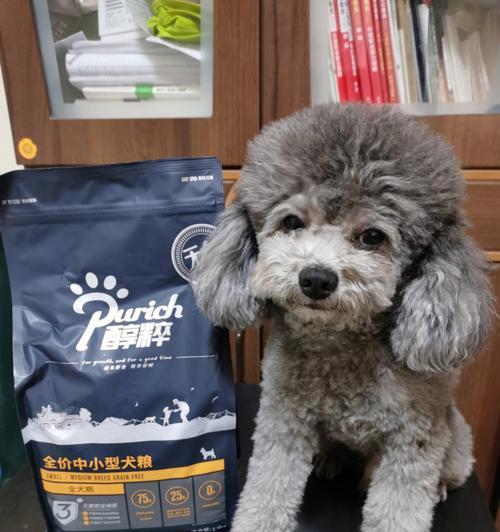 贵宾犬3个月吃什么？（从宠物的健康角度出发，为您解读合适的饮食搭配）