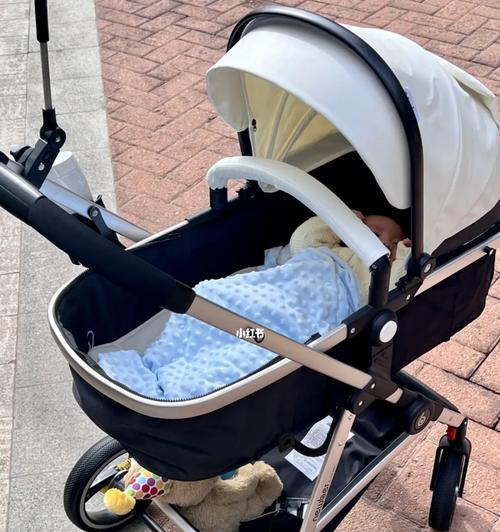 如何使用哈幼睡篮训练宠物（让宠物自然而然地入睡）