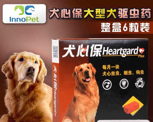 如何预防家中宠物跳蚤感染（以狗狗为例，了解跳蚤防治方法）