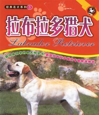 如何防止金毛寻回犬生病？（宠物健康保障，从日常护理开始。）