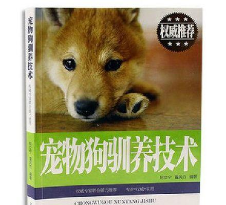 如何提高宠物狗狗的繁殖能力（科学饮食、适度锻炼、健康管理，让宠物狗狗拥有更好的繁殖能力）