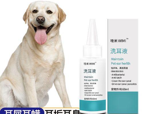 如何正确清洁你的狗狗耳朵？（掌握清洁技巧，避免耳部疾病）