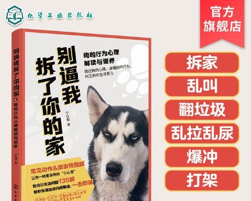 养狗不慎，后悔莫及（一些不正确的狗狗养育方法与改正）