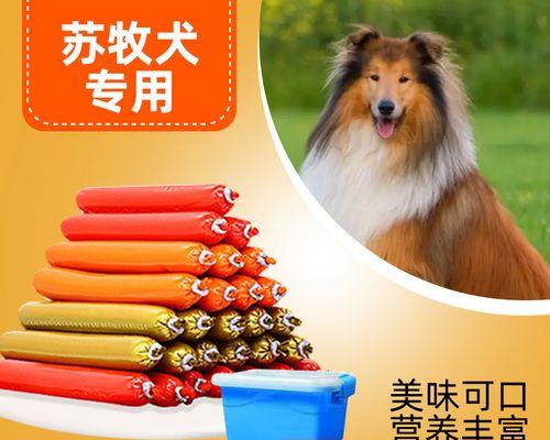 如何预防和治疗苏格兰牧羊犬缺钙问题（以宠物为主，详解缺钙症状、原因和治疗方法）