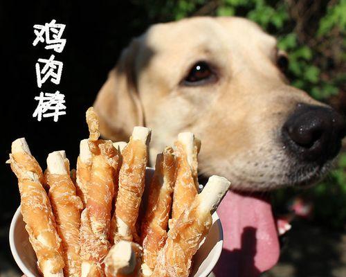 泰迪狗狗适合吃骨头吗？（探讨泰迪狗狗吃骨头的营养价值、适宜年龄、食用禁忌和注意事项）