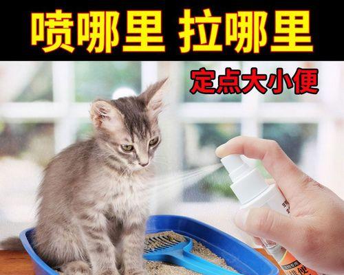 猫咪突然乱尿？这可能是它的健康问题！（猫咪乱尿的原因有哪些？如何处理？）