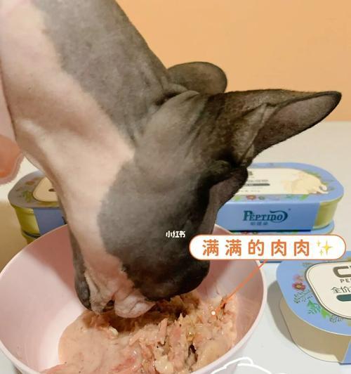 为什么猫咪喜欢吃肉？（探究猫咪食肉的原因和健康问题）