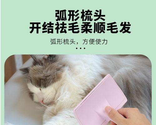 为什么要经常给猫咪梳毛？（宠物的健康需要你的关注）