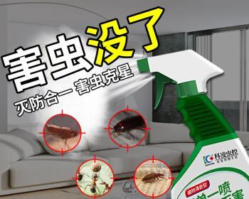 养狗后如何有效驱除跳蚤（以宠物为主的跳蚤防治方法）