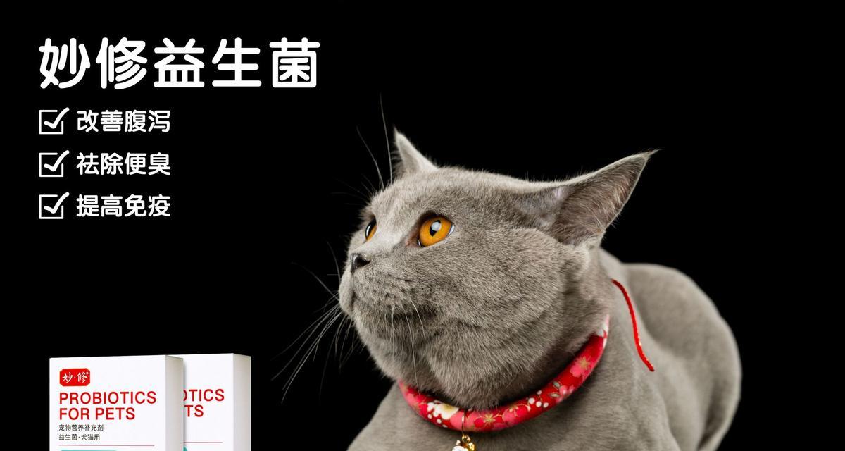 养猫前必须知道的注意事项（养猫前必须知道的注意事项）