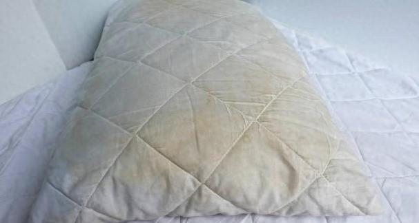 如何有效地帮助宠物狗去除皮屑（15个实用小技巧让你的狗狗告别皮屑问题）