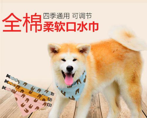 让你的柴犬愿意刷牙！（以宠物为主，让狗狗享受刷牙乐趣）