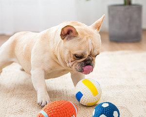 如何让你的宠物狗狗喜欢玩具球球（从挑选到使用，让你的狗狗爱上球球）