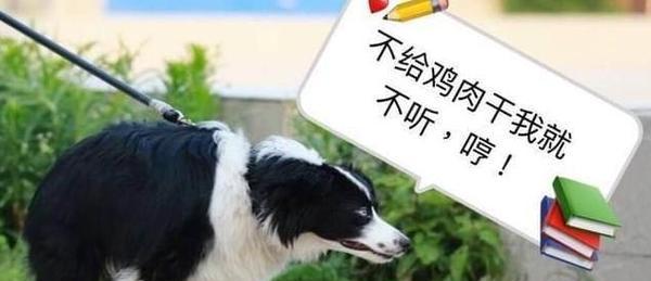 如何正确清理沙皮犬的肛门腺？（宠物养护技巧，让你的狗狗健康快乐）